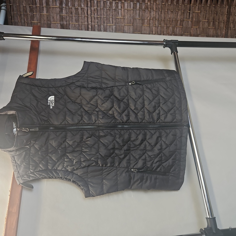 The North Face vest. Woman's, size large, never worn,  never washed.  Brand new.